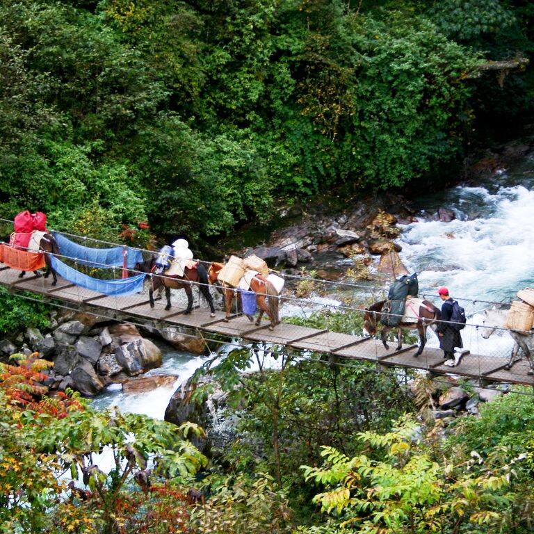 Bhutan Druk Adventure
