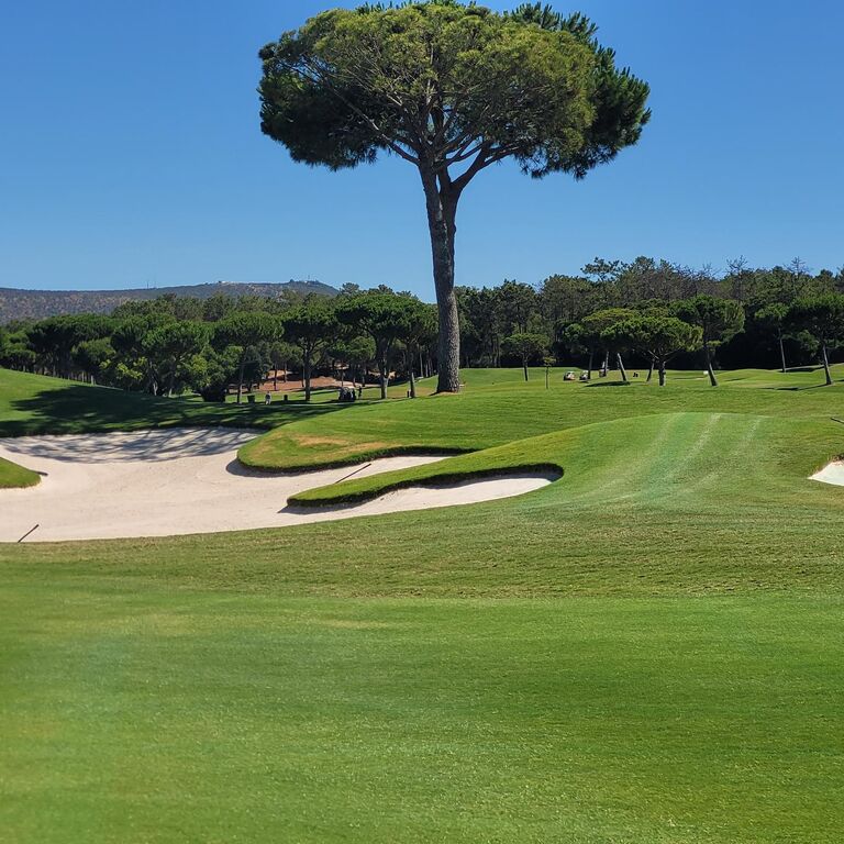 Sunshine Golf
