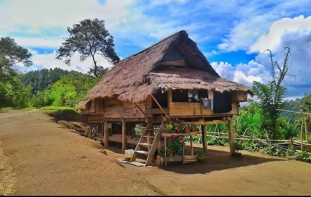 Ino Toraja Guide