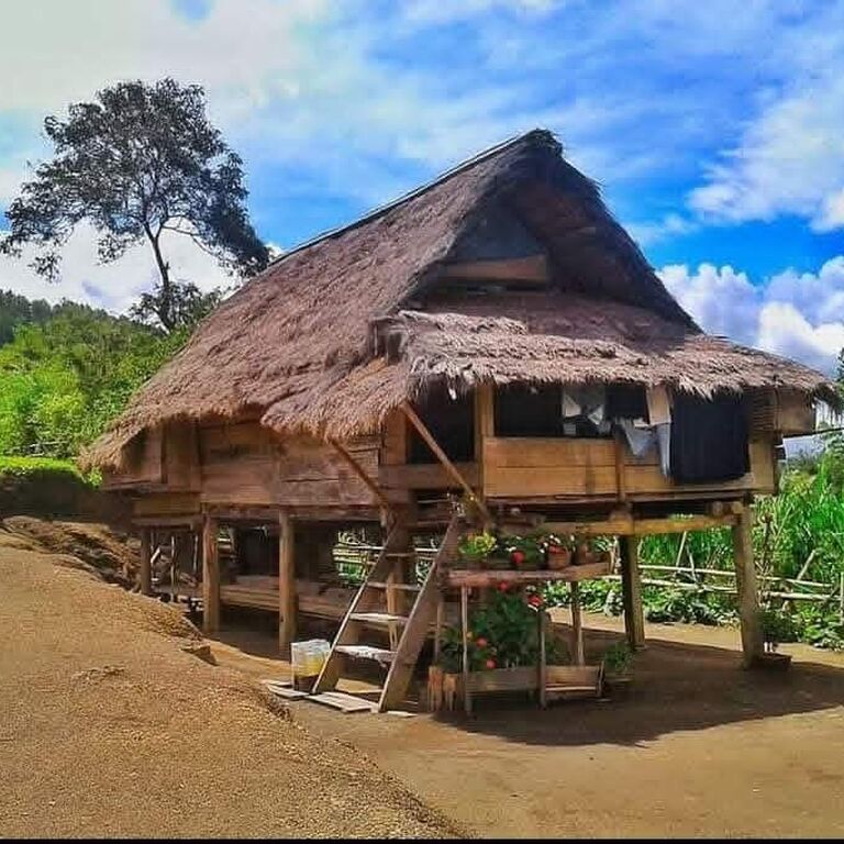 Ino Toraja Guide