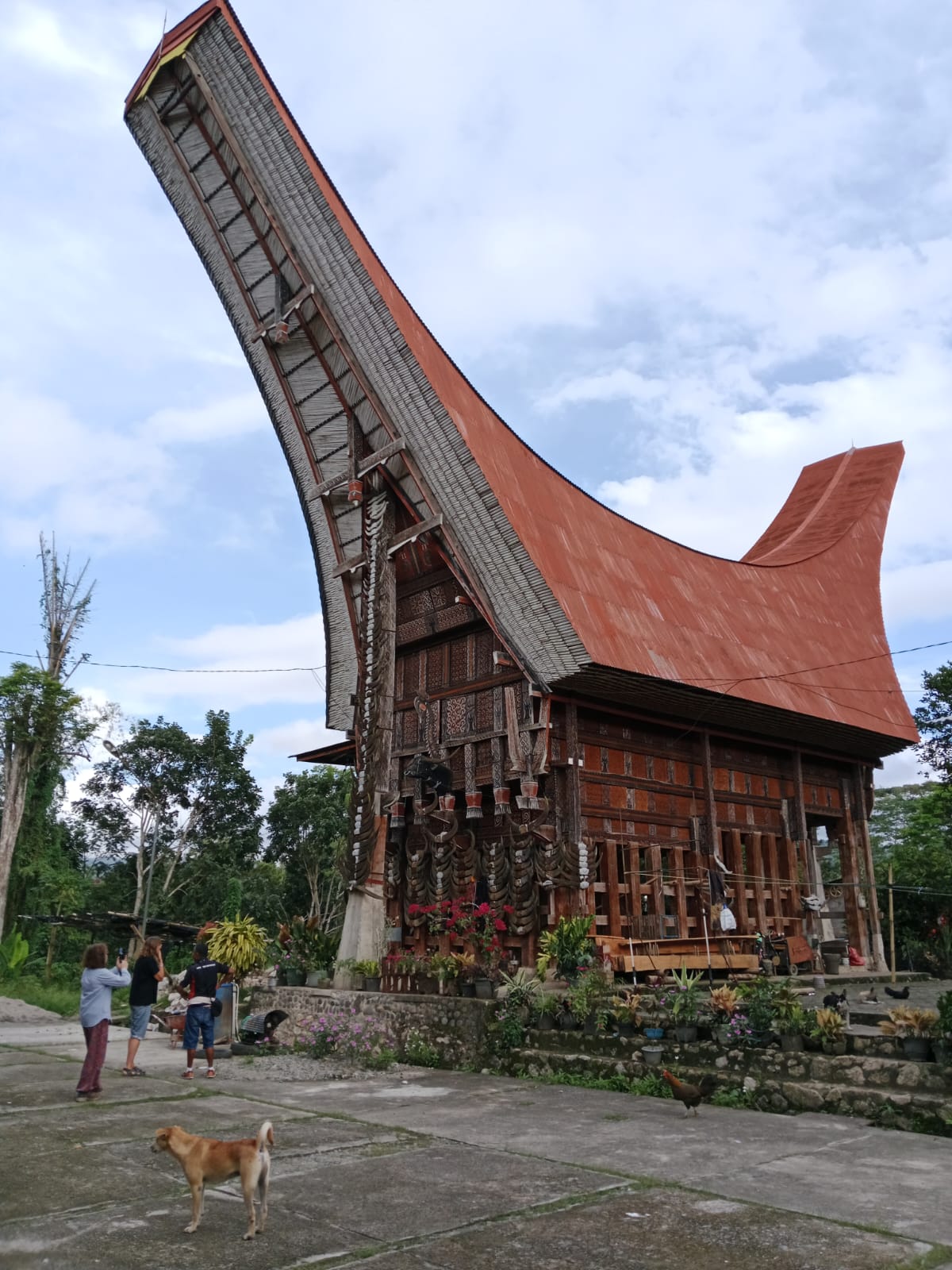 Ino Toraja Guide