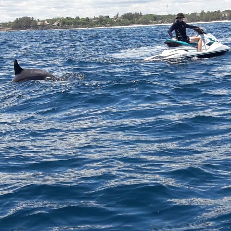 Freetyme Water Sports