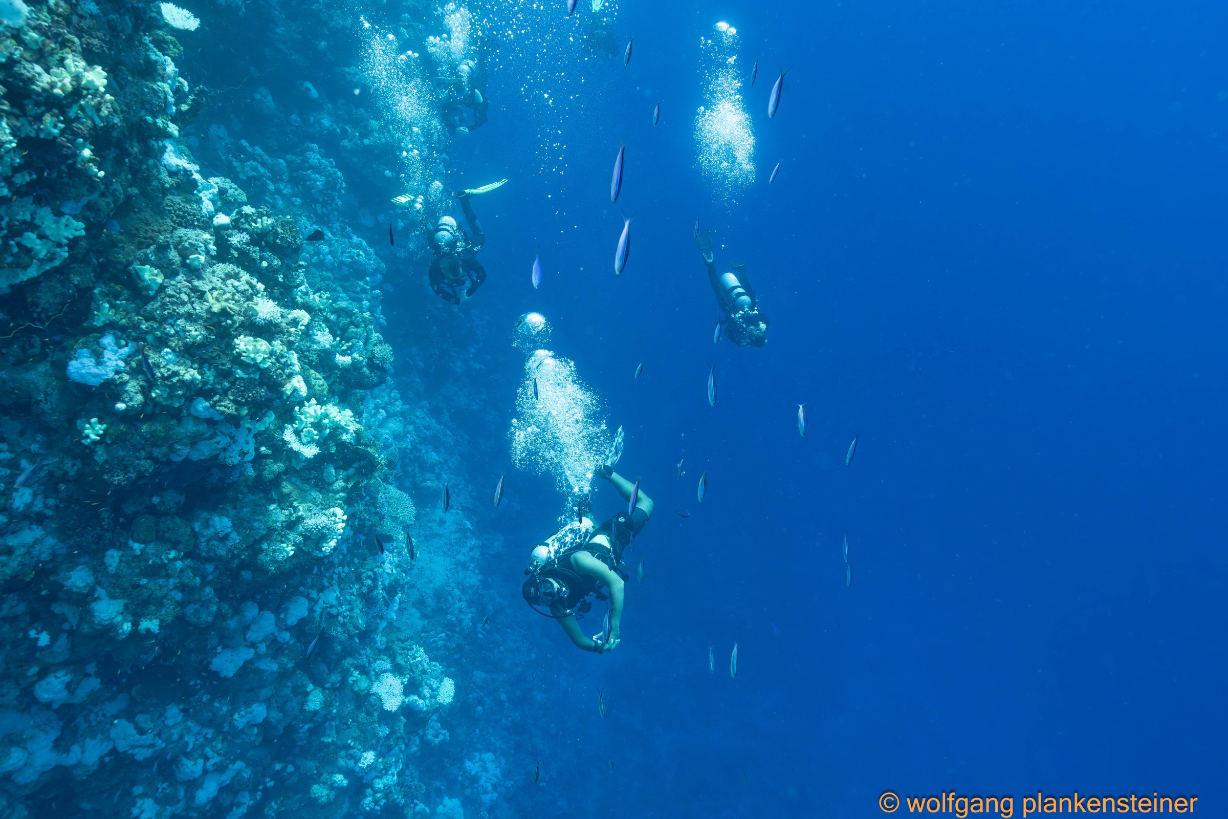 Dive Craft Instructor