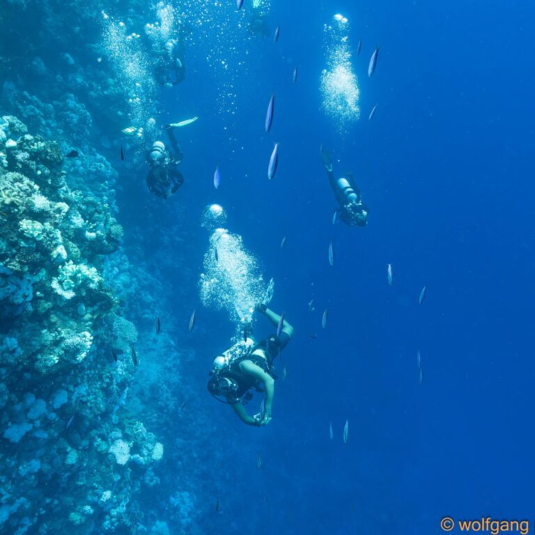 Dive Craft Instructor