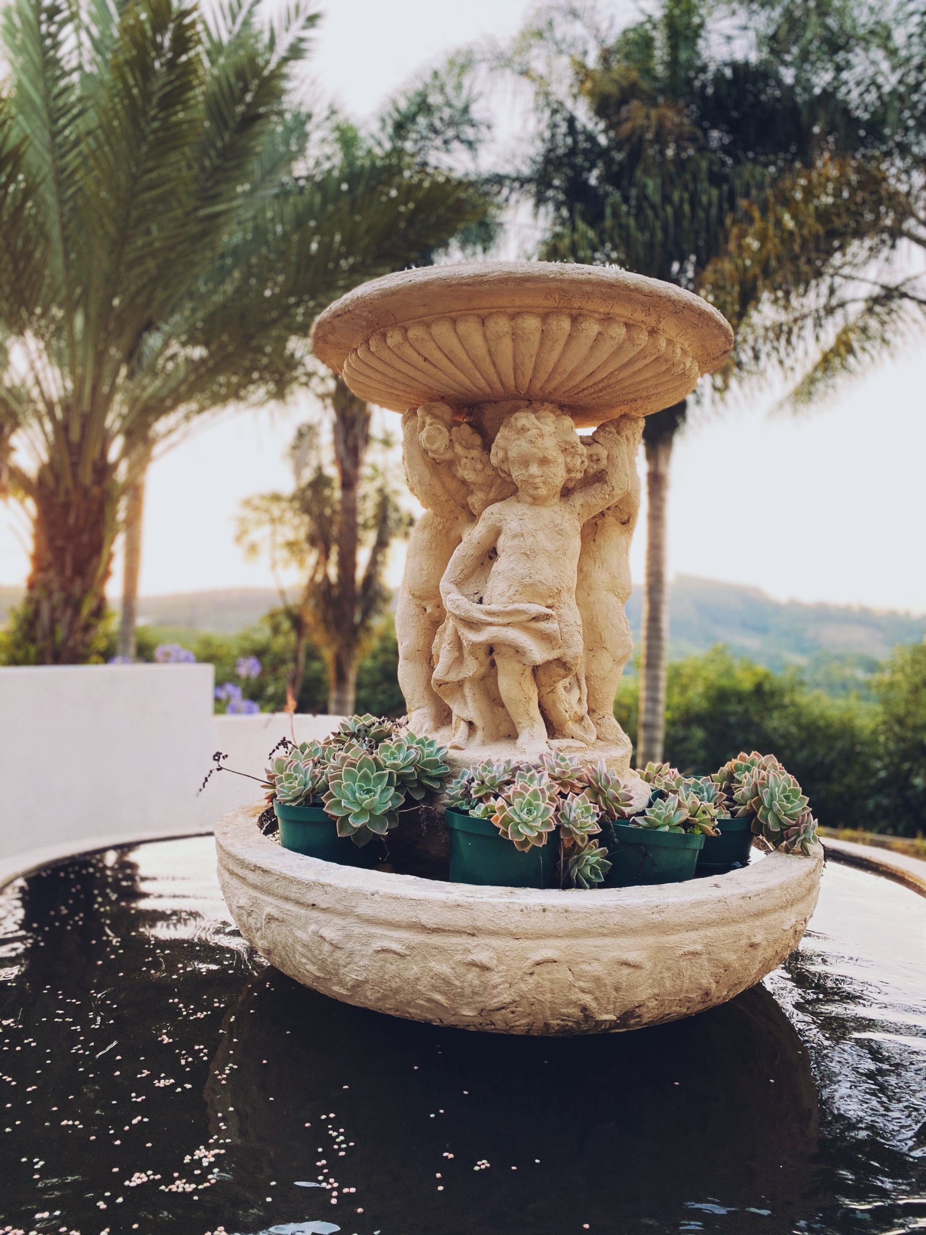 Sherwood's Country House cc