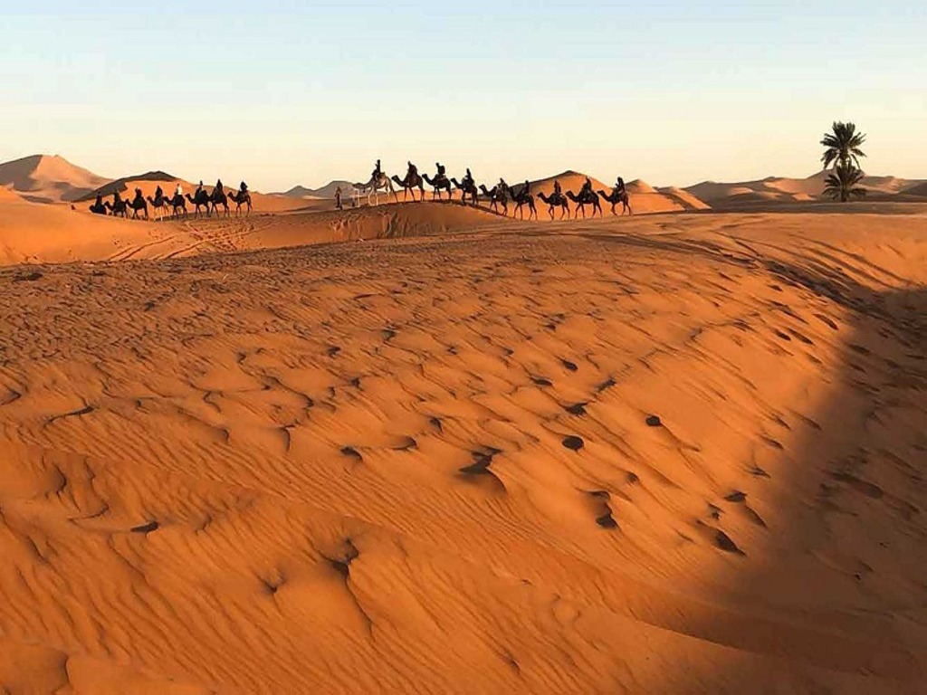 Group Sahara Desert Trip