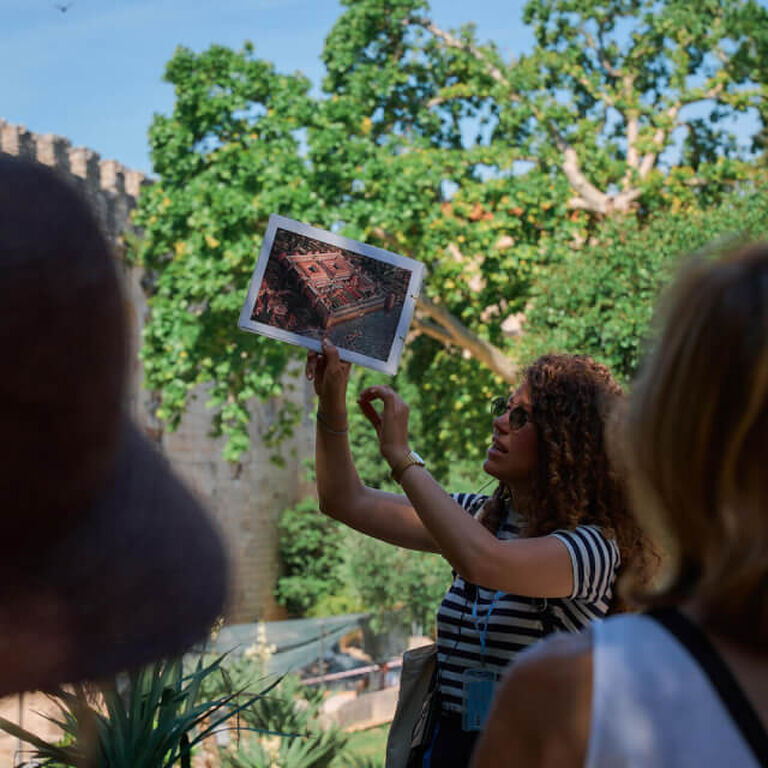 Free Spirit Tours