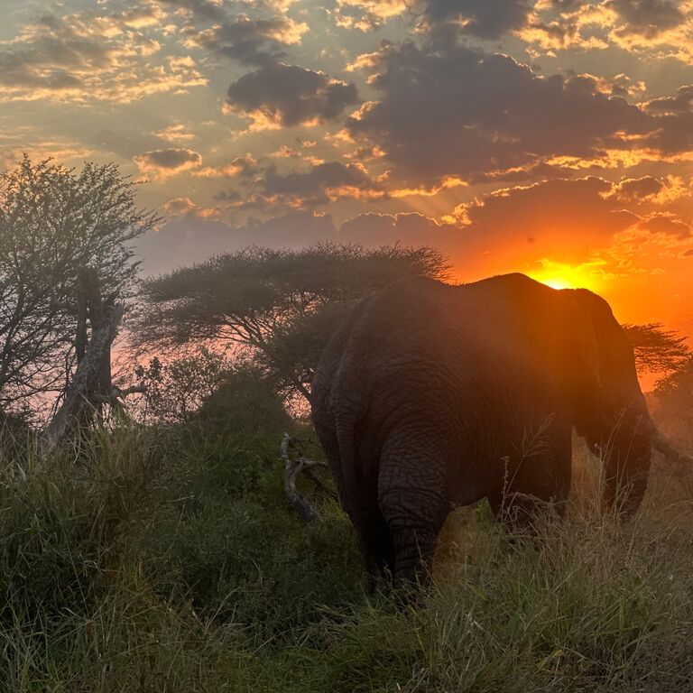 Africa Miles Safari Compan Ltd