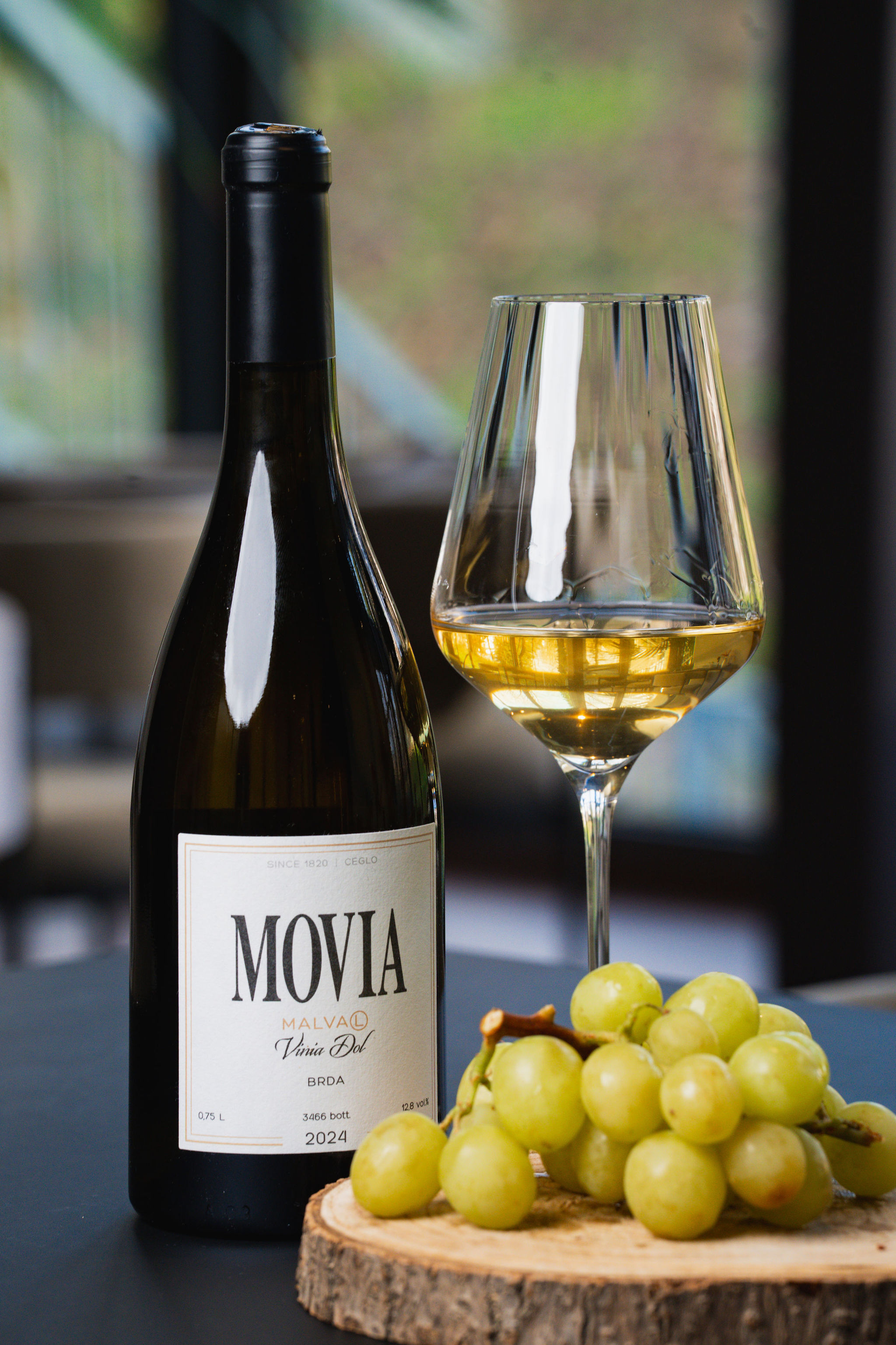 Hotel Lonca Garni 4*