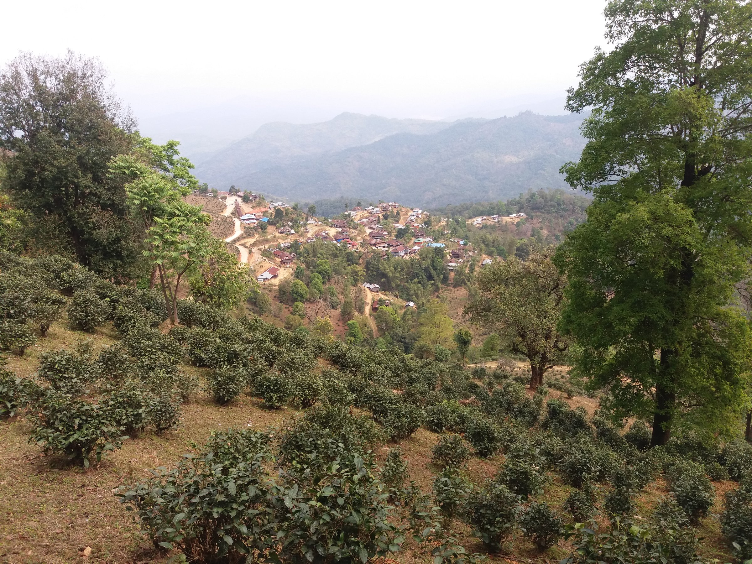 Burma Trek, Car and moto tours