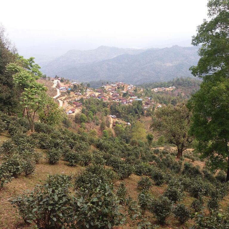 Burma Trek, Car and moto tours