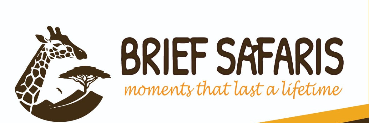 Brief Safaris
