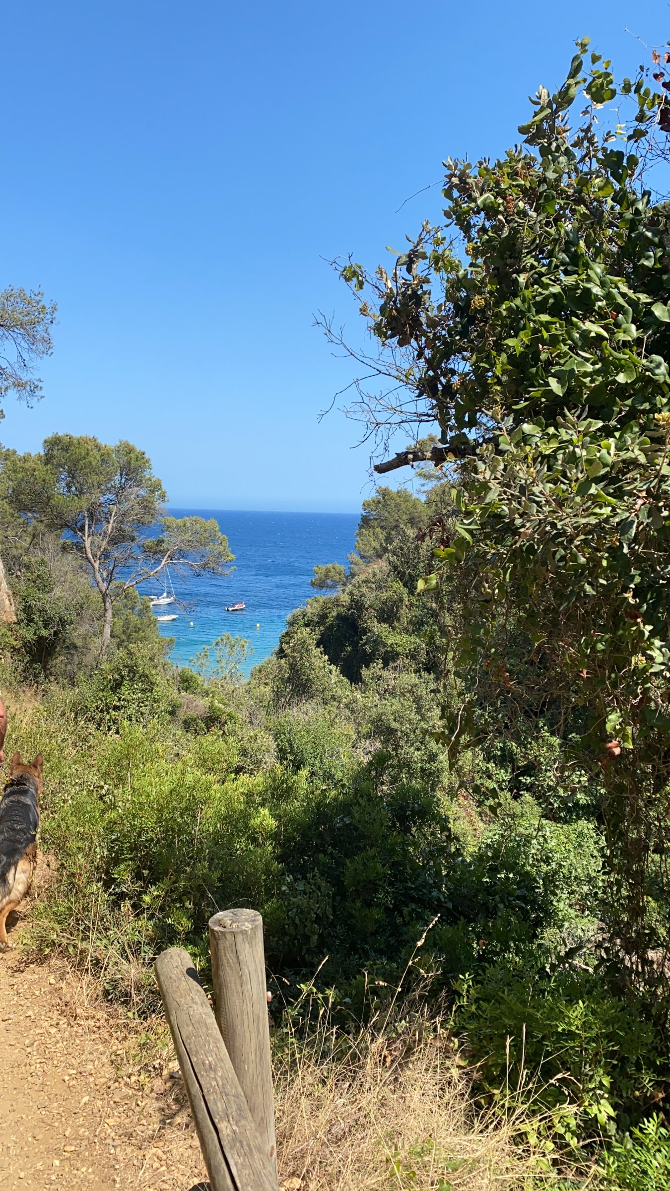 TAXI PALAMOS Y CALONGE