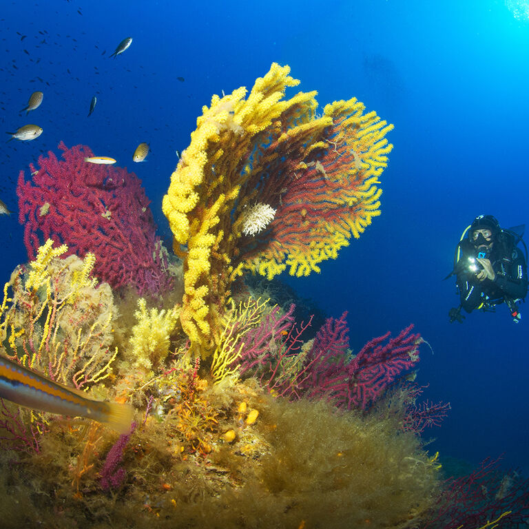 BLU INFINITO Diving Center