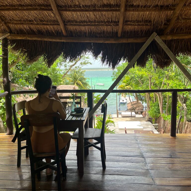 NORU BACALAR