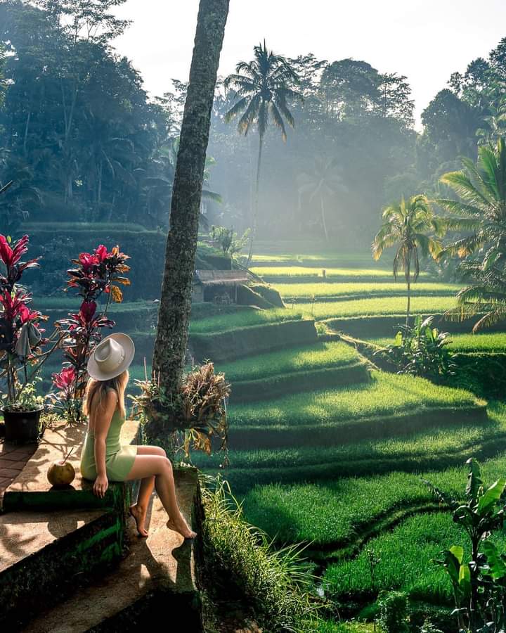 iGo Bali Trip