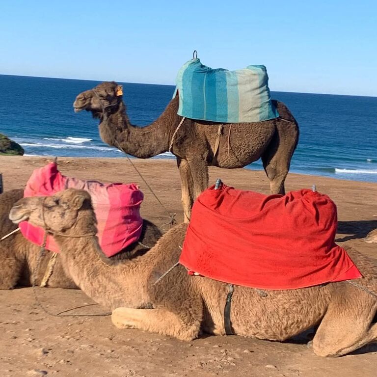 Tangier Day Tours