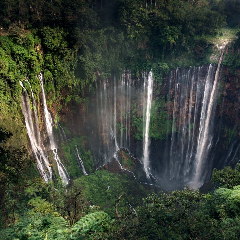 Banyuwangi Voyage