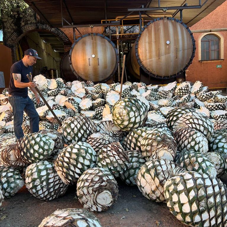 Tequilera Hacienda de Oro