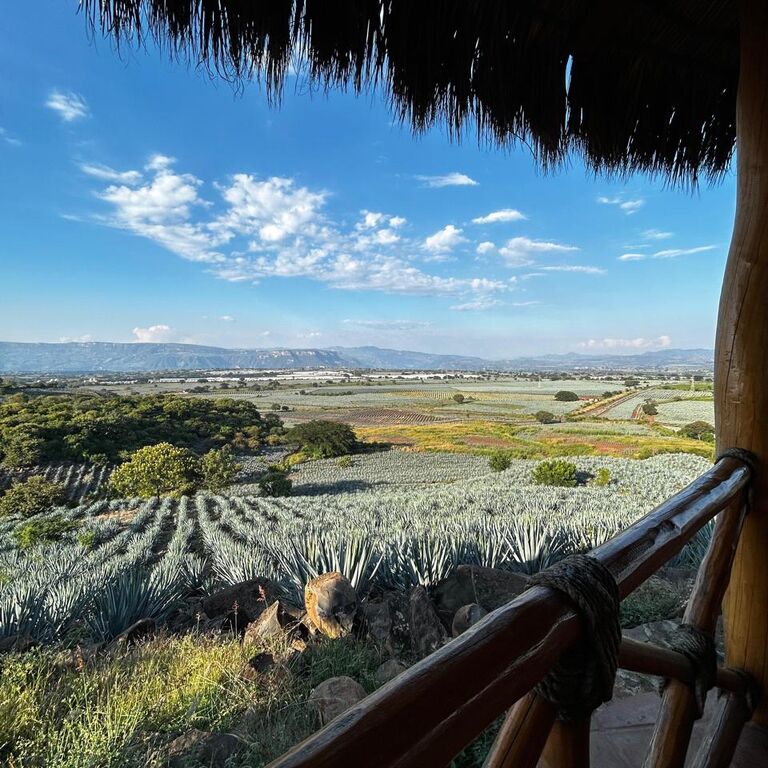 Tequilera Hacienda de Oro