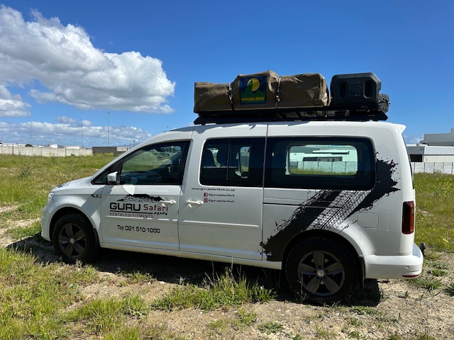 Guru Safari