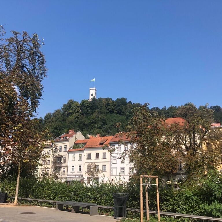 Mateja