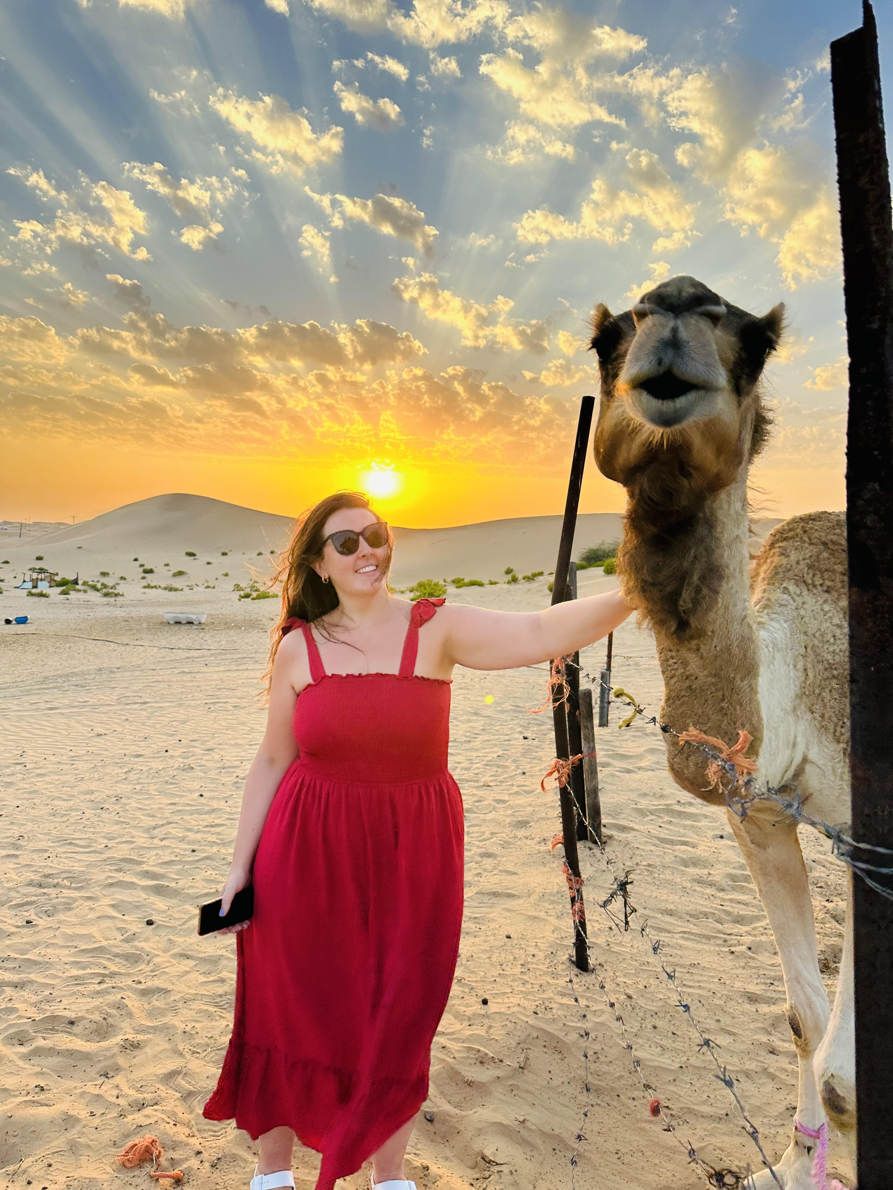 Visitors Destination Tours