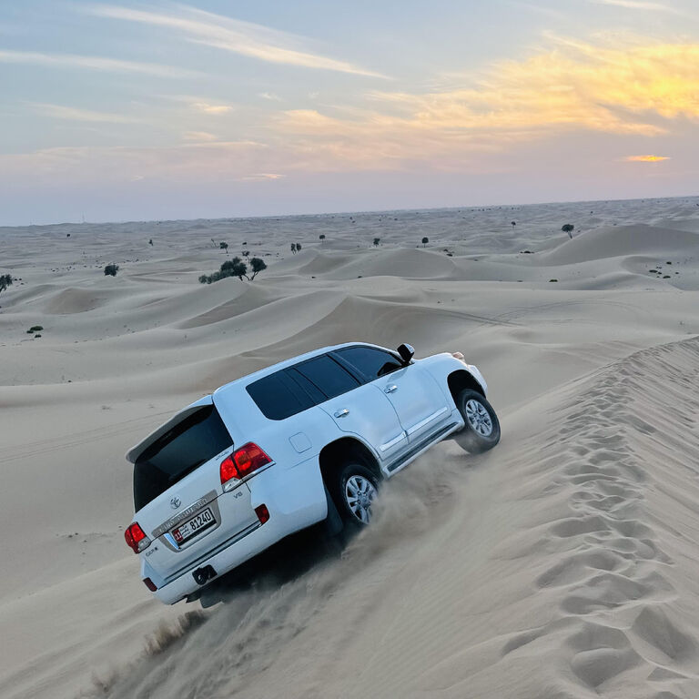 Visitors Destination Tours