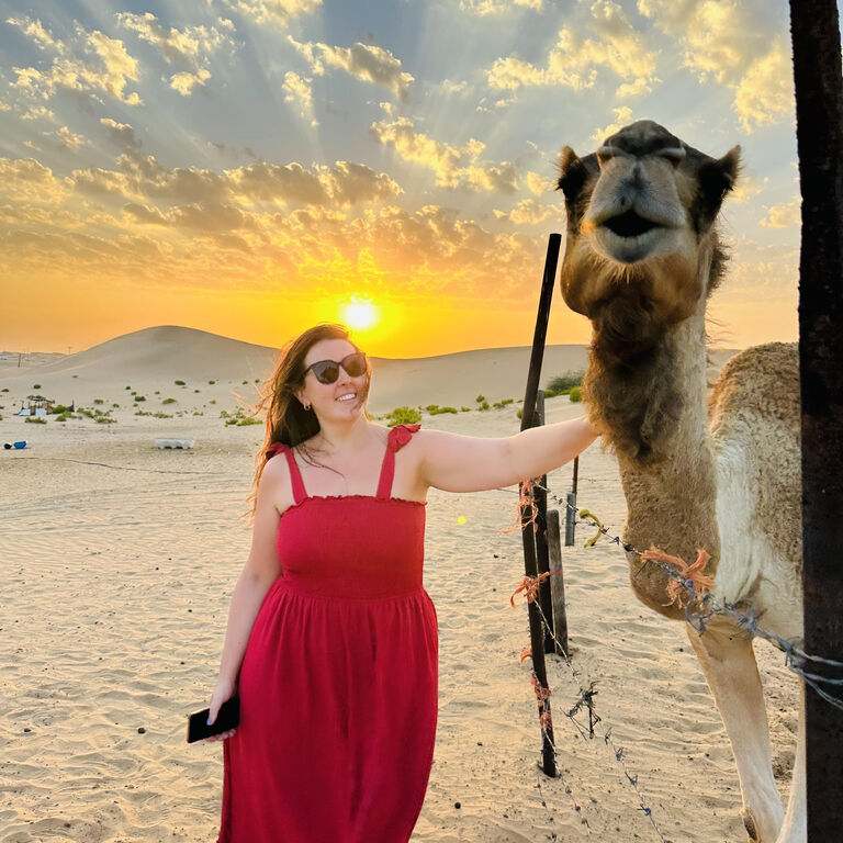 Visitors Destination Tours