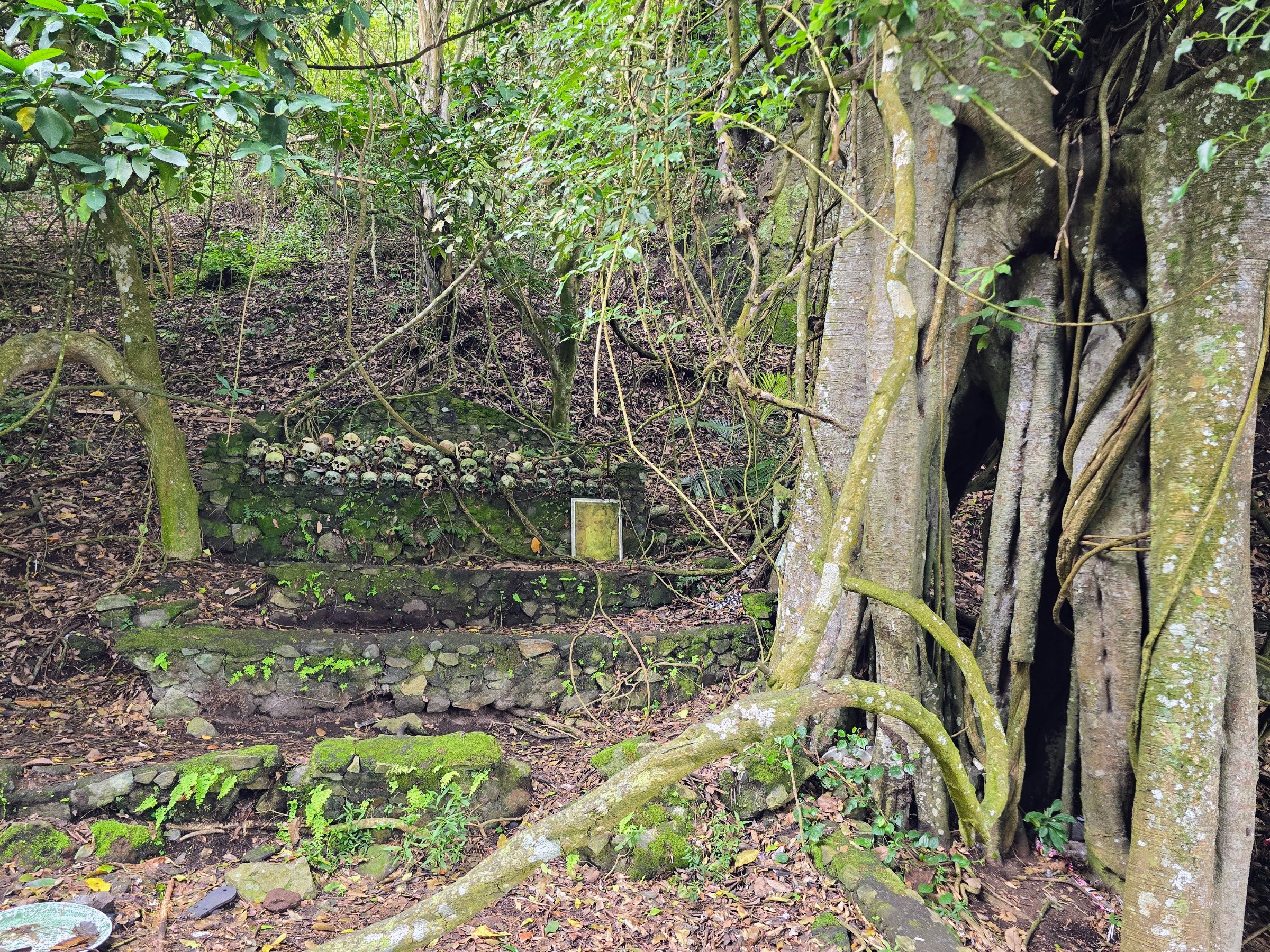 Bali Yansu Tours