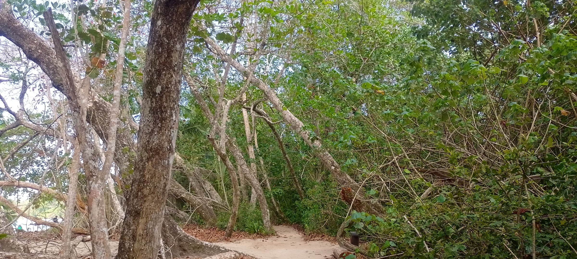 Viajes y turismo costa rica