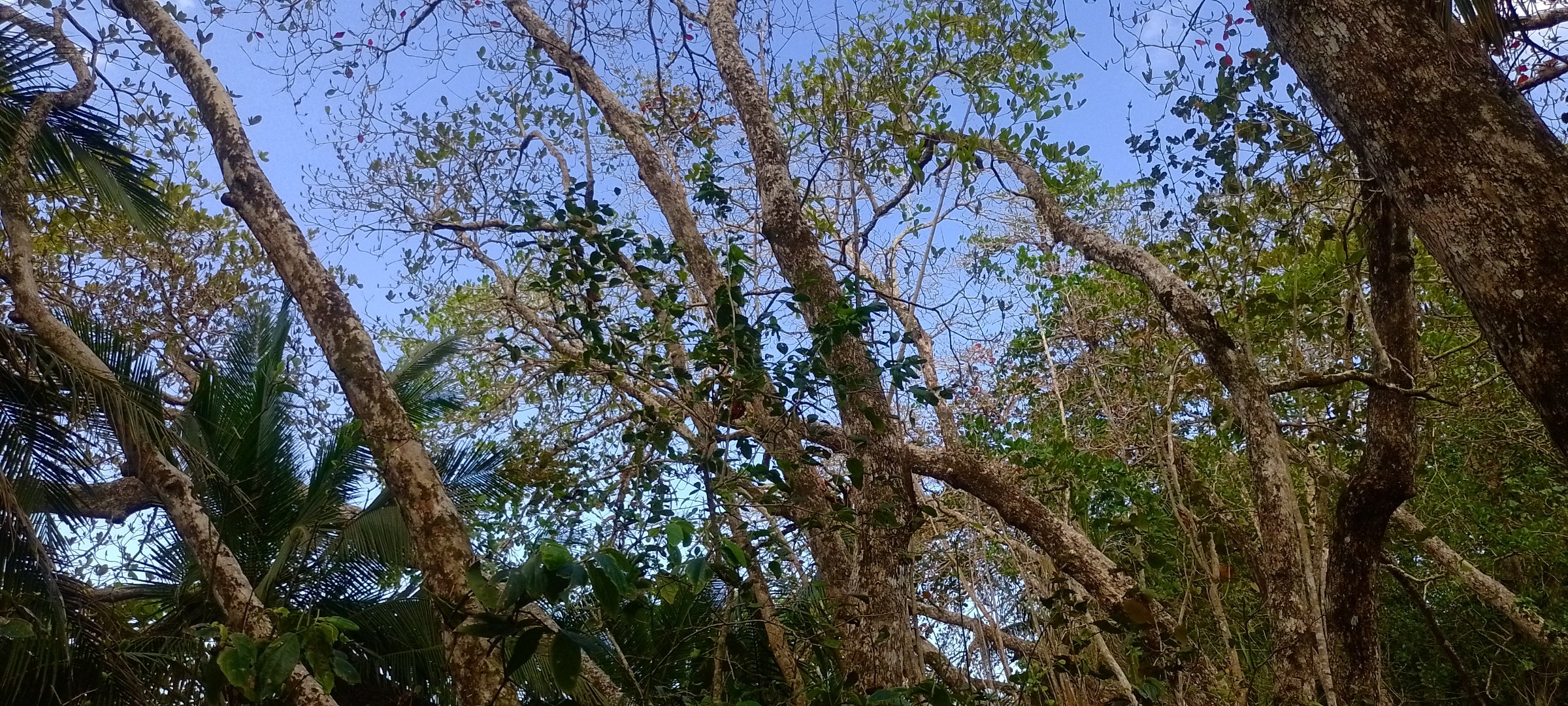 Viajes y turismo costa rica