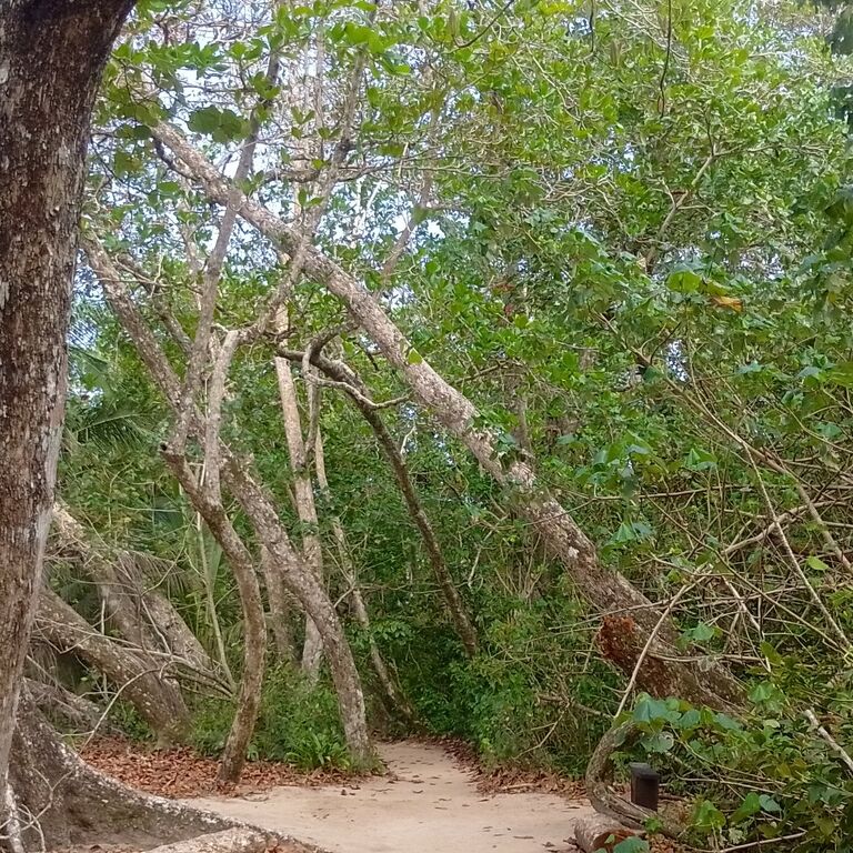 Viajes y turismo costa rica