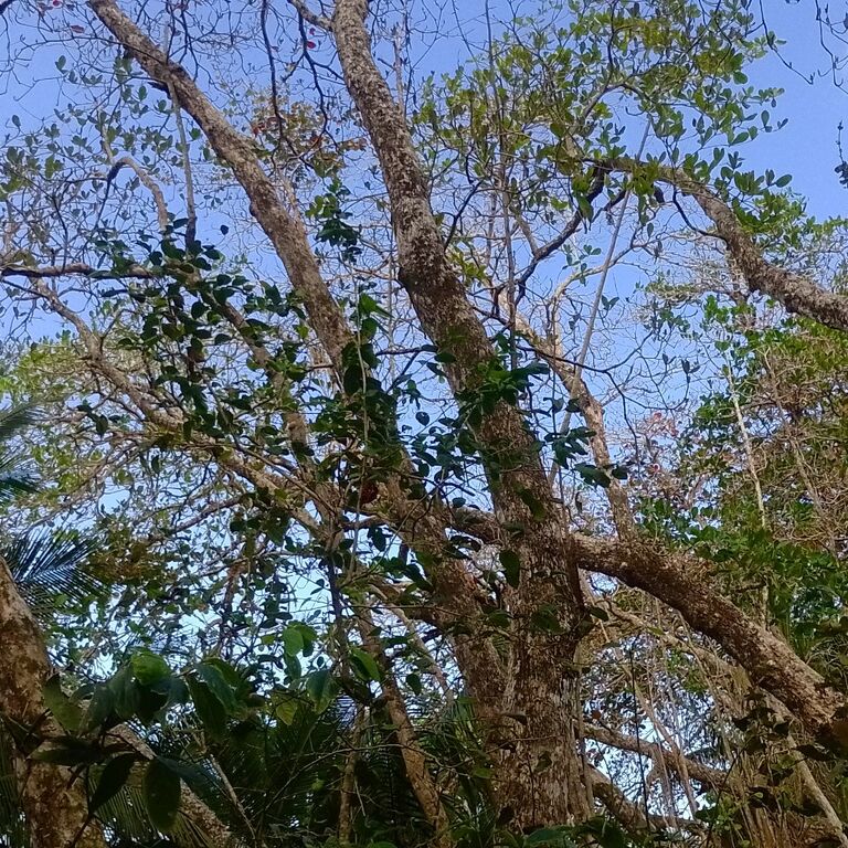 Viajes y turismo costa rica