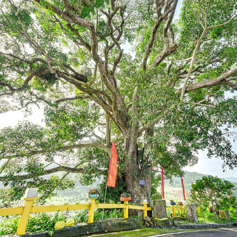 Khu Du Lịch Thác Bobla