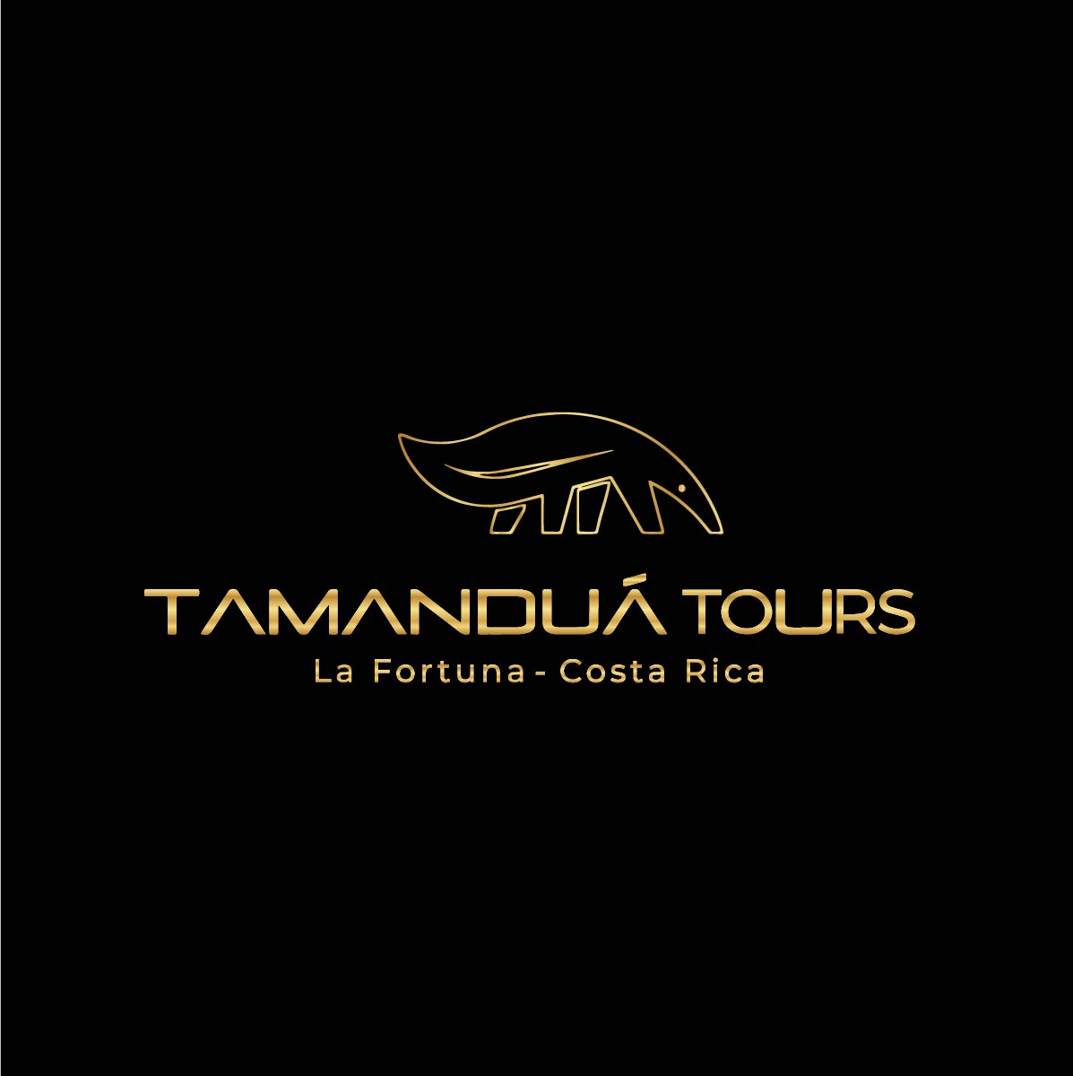 Tamandua La Fortuna Tours