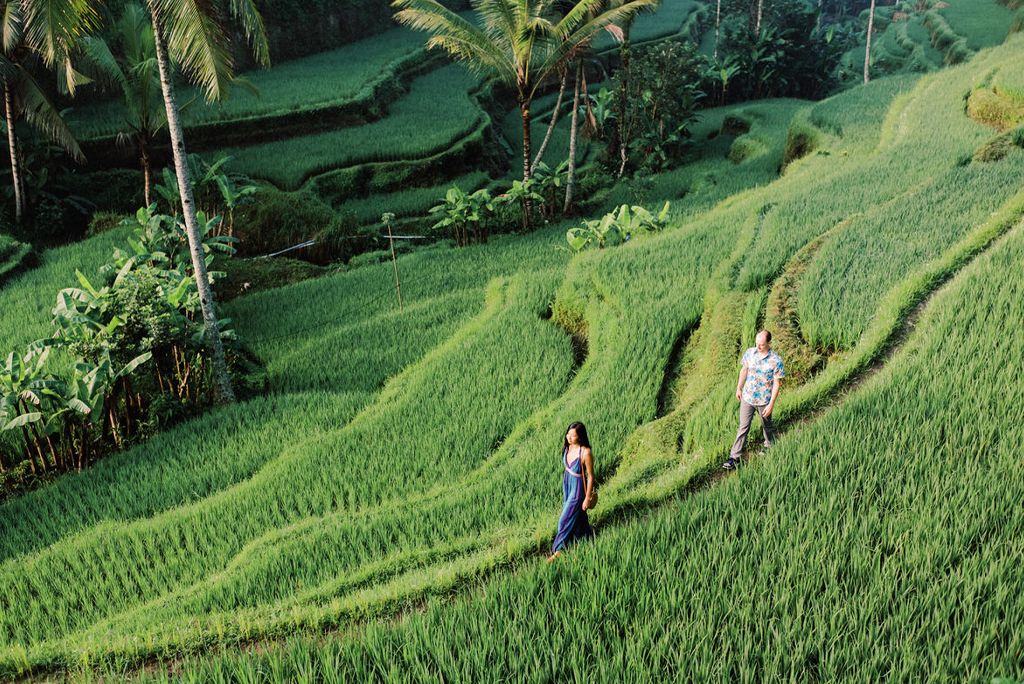 Ubud Private Day Tour