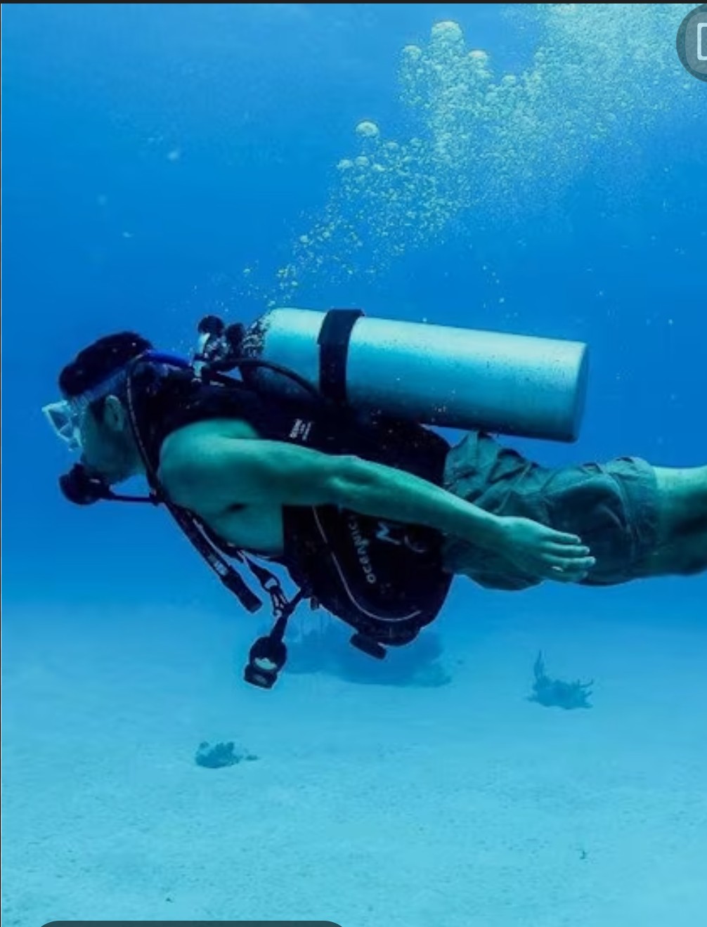 Sun Dive Escola de Mergulhos