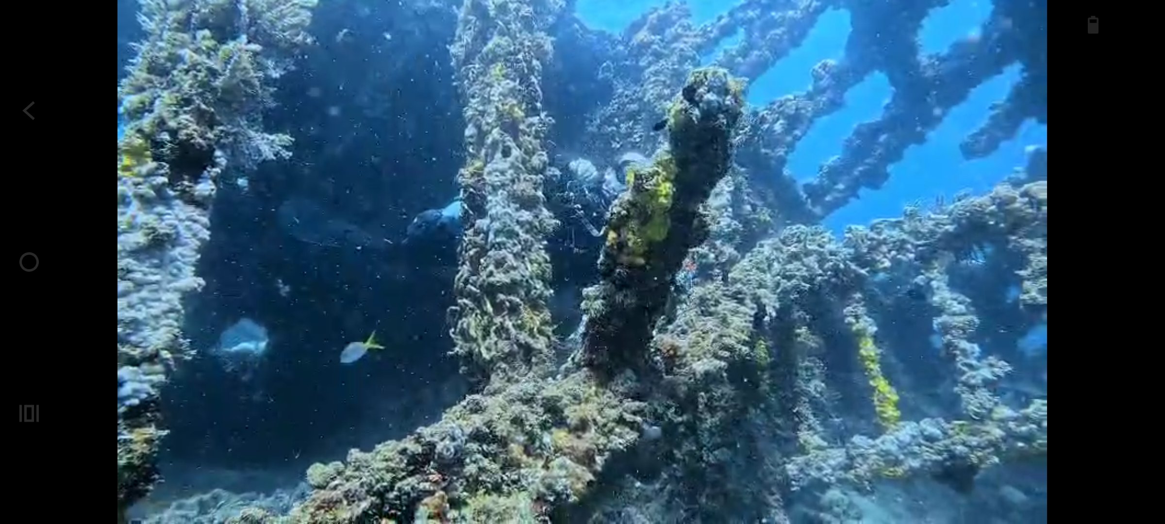 Sun Dive Escola de Mergulhos