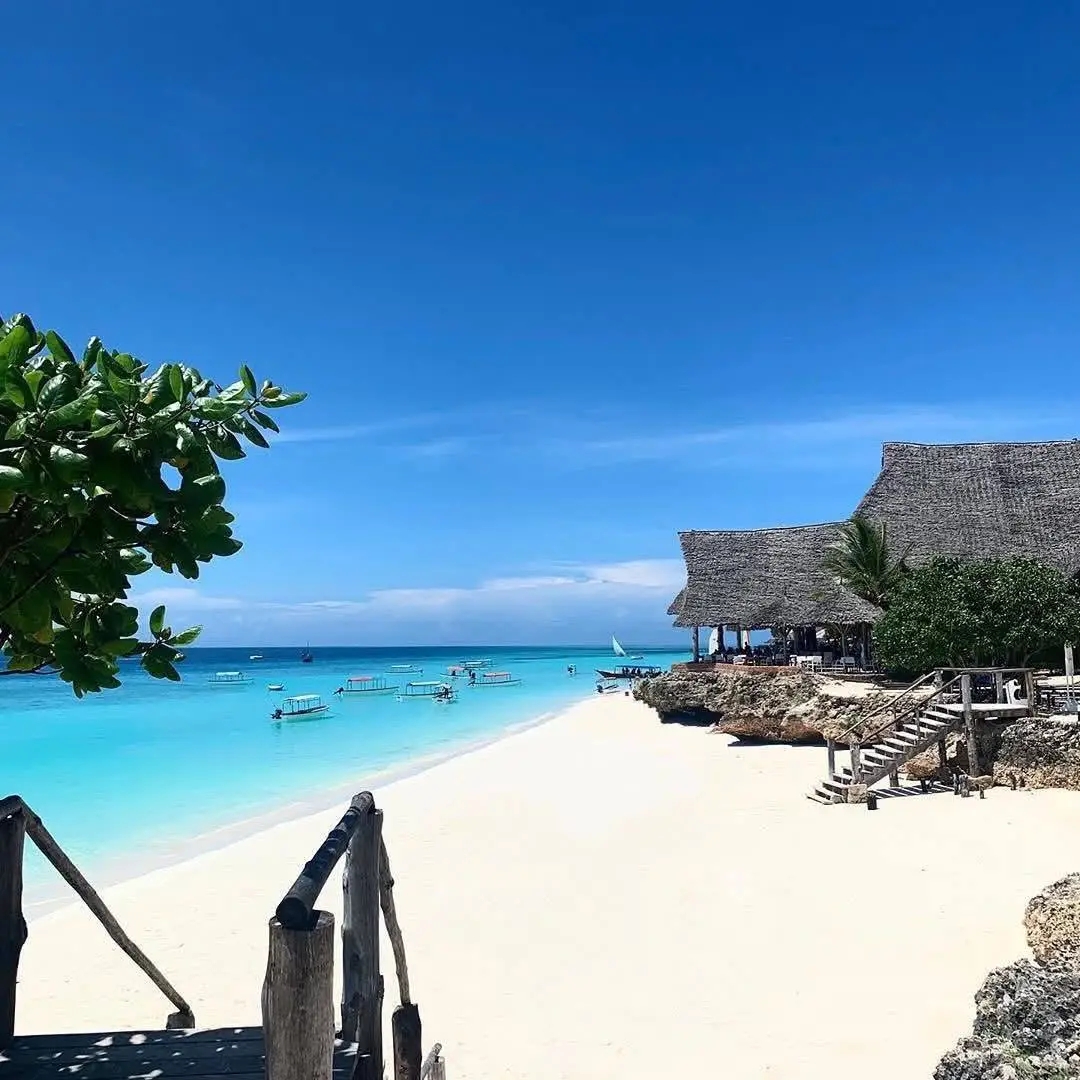 Kijani Africa Safaris