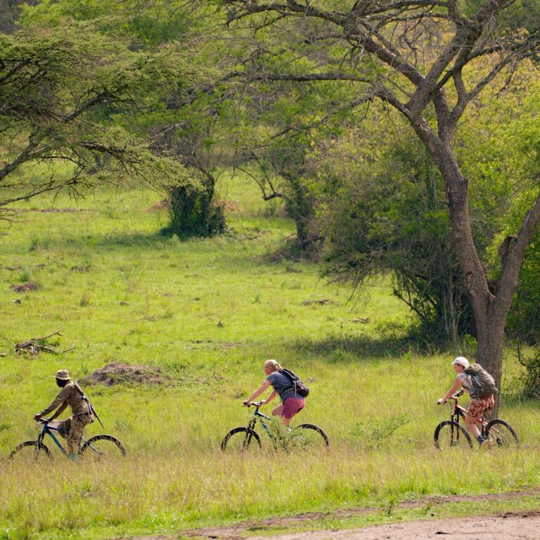 ISITOSHE TOURS AND TRAVEL