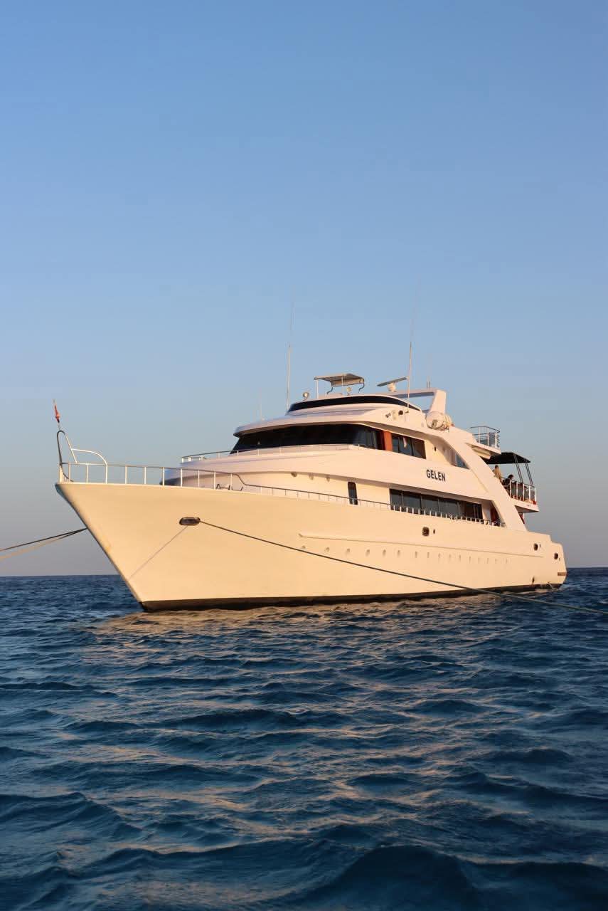 Michael Tauchen Safaga