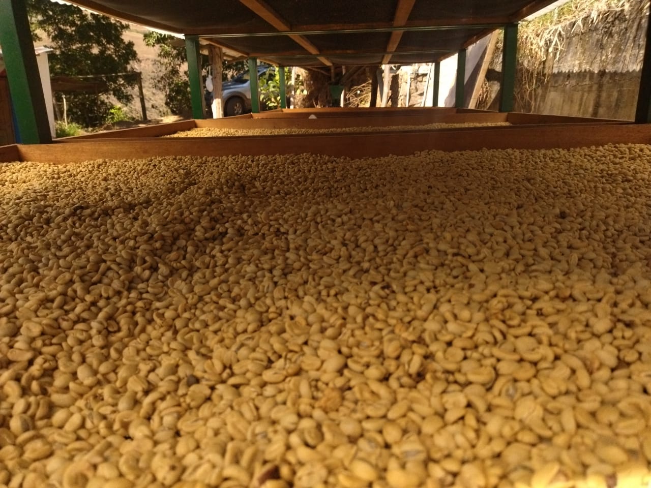 AROVI / CURLY by AROVI