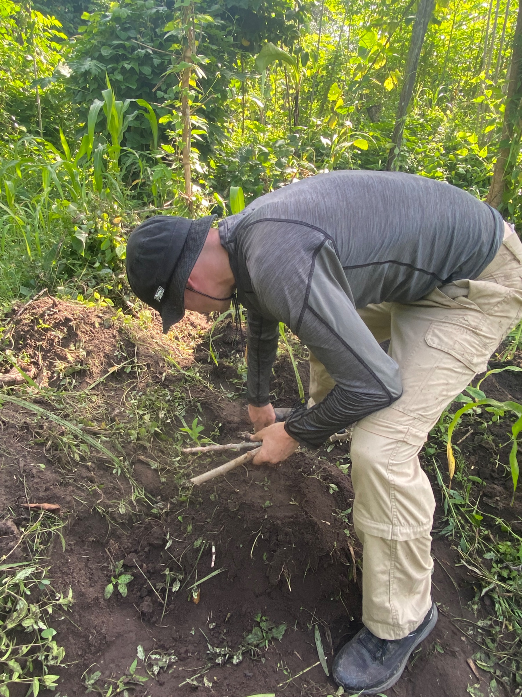 Mattlawie Ecological