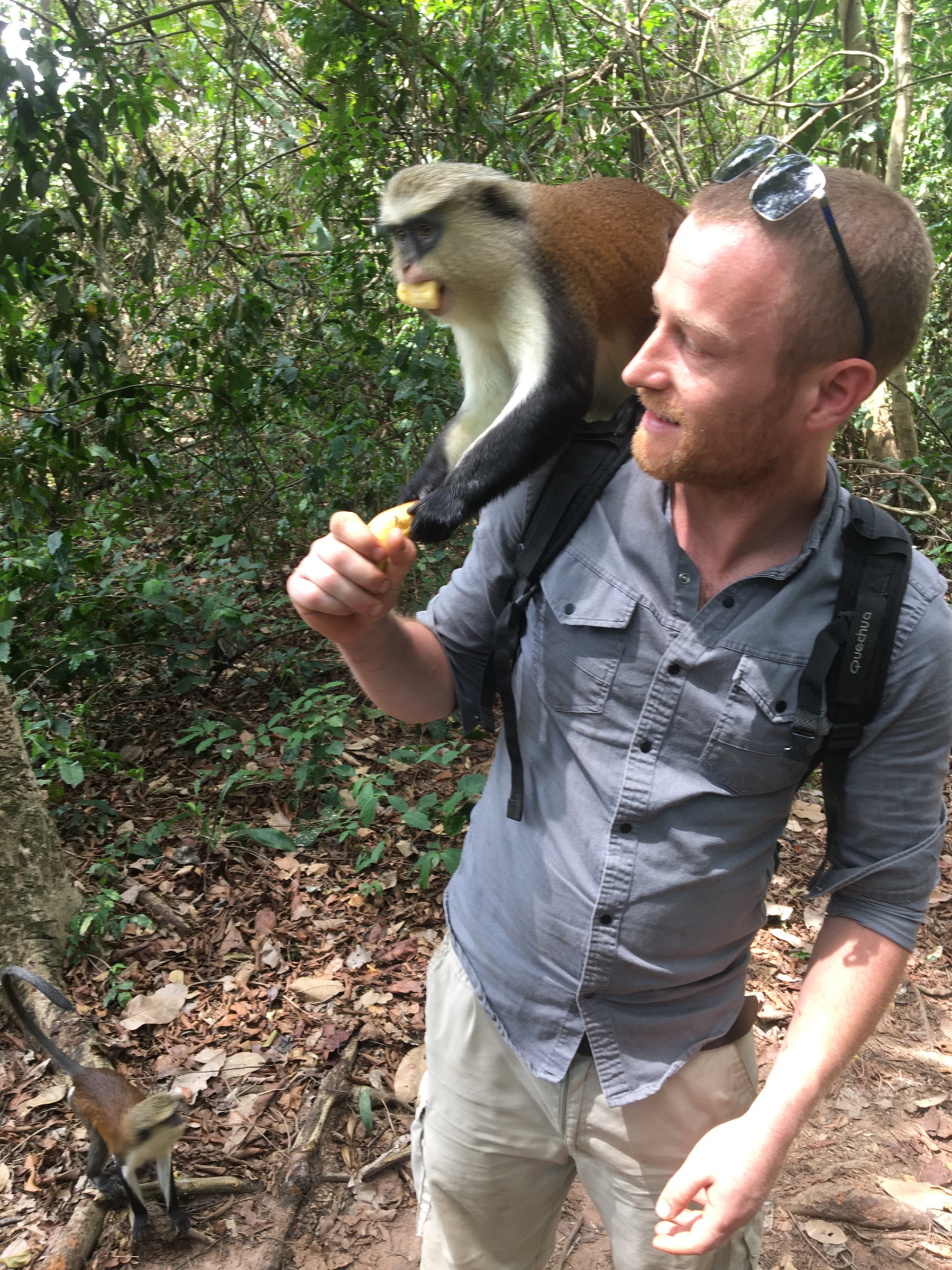 Mattlawie Ecological