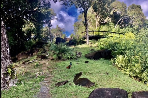 Mirimiri Tours Raiatea