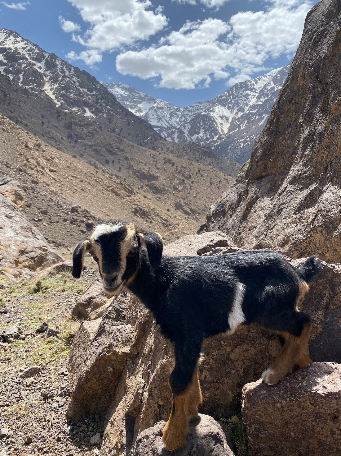 Hassa Trek in Atlas