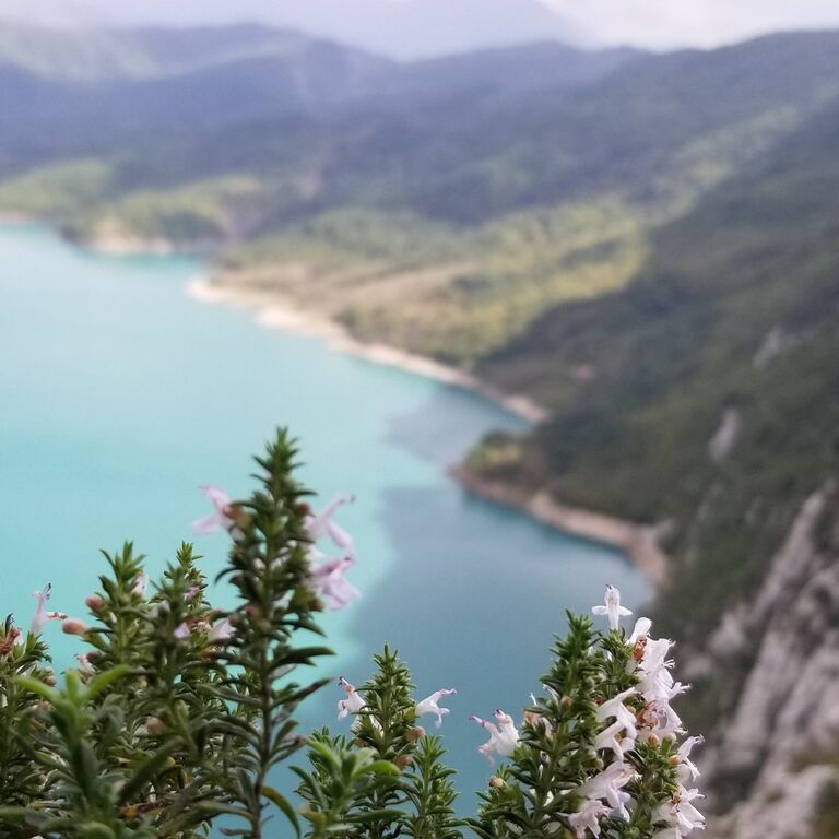 Hike like a local