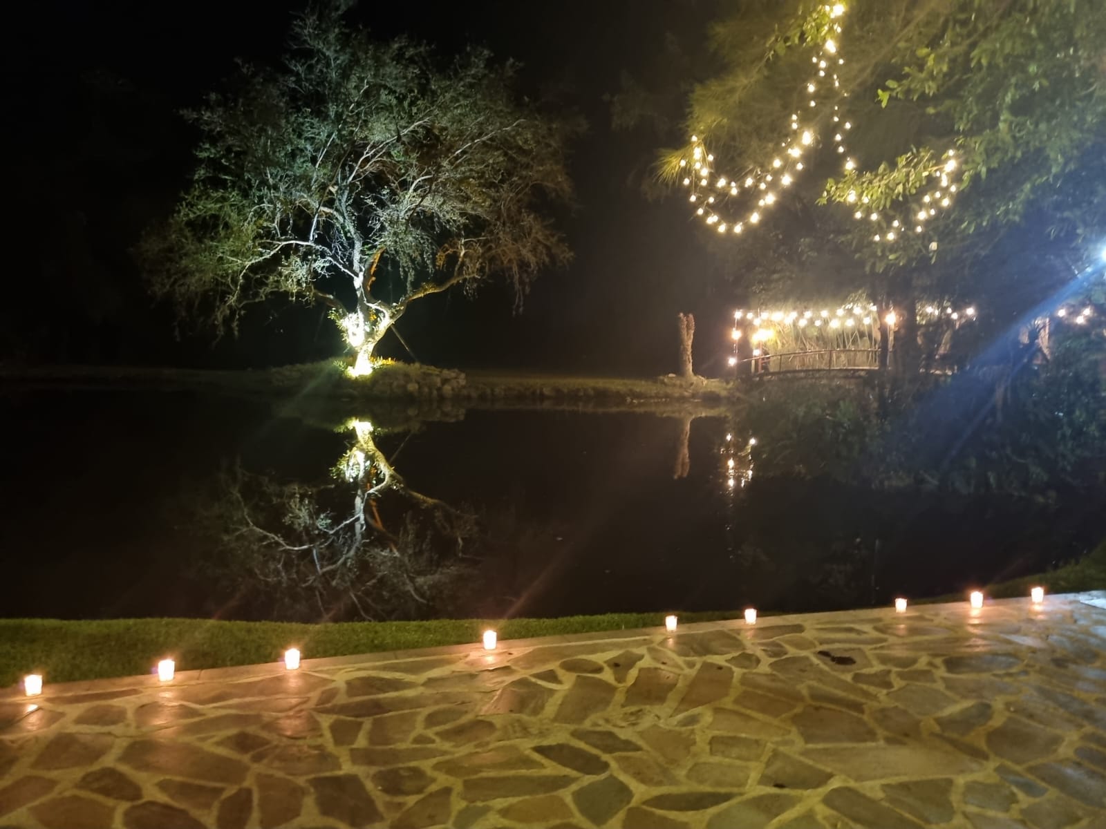 El Pinar del Chayán