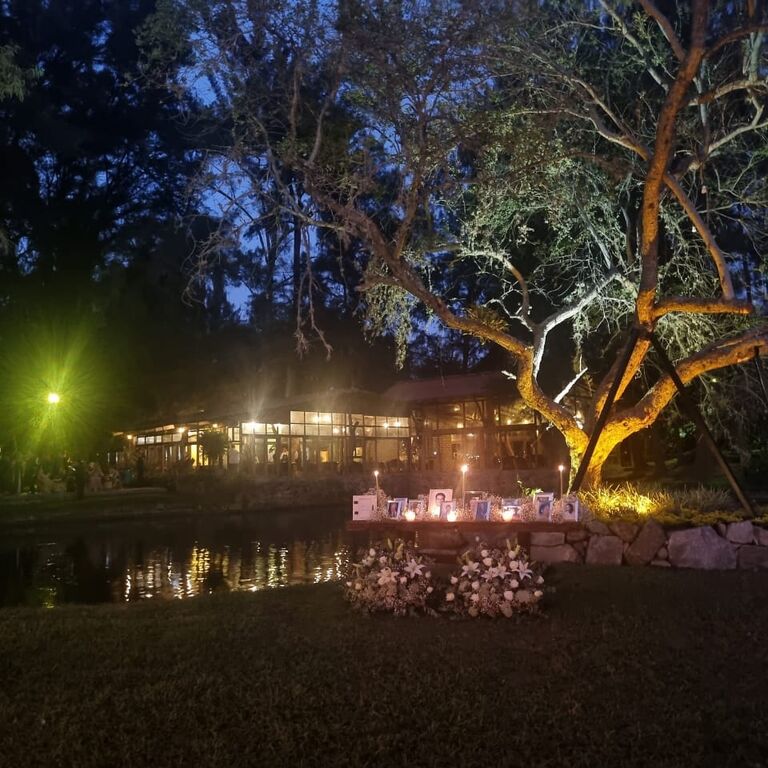 El Pinar del Chayán